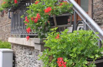 Moselloft Zeltingen-Rachtig - Foto 44