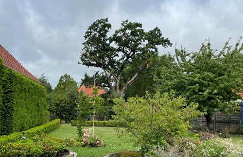 Bellurana®private home - Foto 3