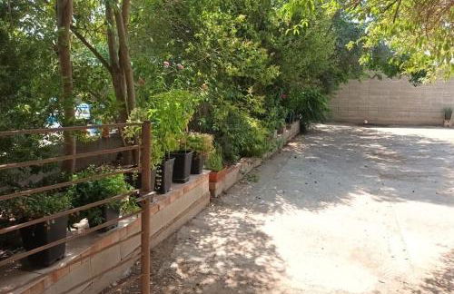 Finca Marina Turismo Rural - Foto 61