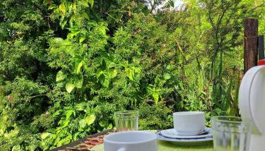 Villa Tenerezza São Francisco Xavier - Foto 4