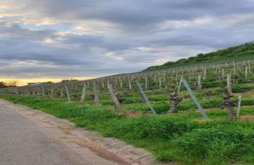 Quaint Apartment in Zeil am Main With Terrace - Foto 76