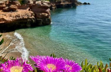 Casita del Toro - Foto 24