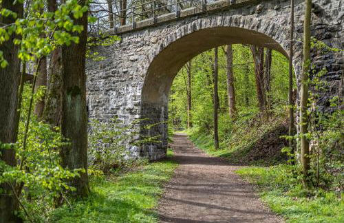 Ferienwohnung zum Specht - Foto 10