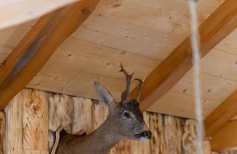 Mountain house Beauty of Laz - Foto 24