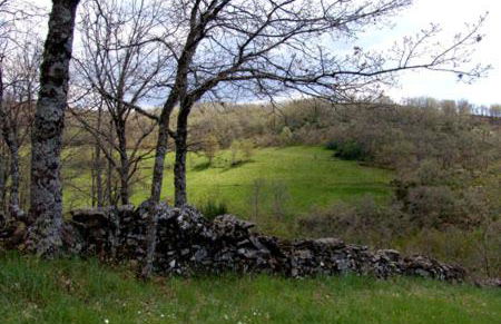 Casa da Fonte de Travanca - Foto 23