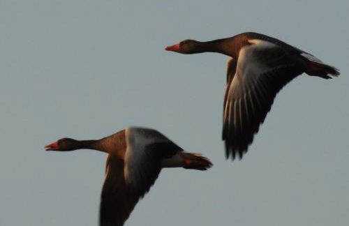 Haus am Mühlenberg - Foto 14