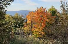 Ferienwohnung Fichtelgebirge - Foto 29