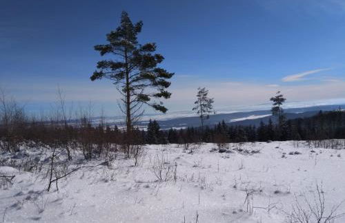 Haus Kellerwald - Ferienwohnung Kellerwald-Edersee - Foto 22