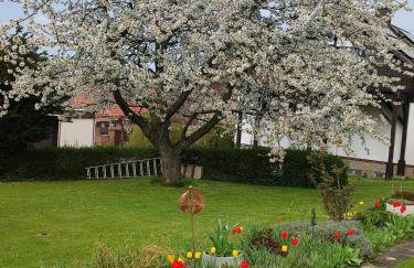 FeWo Waldblick - Foto 17