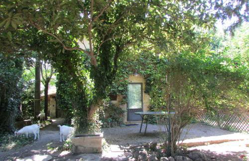 Agriturismo "Borgo Madonna degli Angeli" - charming cottages in the gardens ! - Foto 20