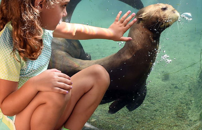 Biglietti per lo Zoo di Miami - Foto 7