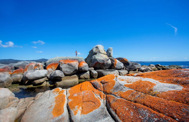 BIG4 TASSIE GETAWAY PARKS ST HELENS - Foto 58