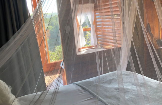 Teniqua Treetops - Foto 13