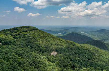 Southern Views - Photo 59