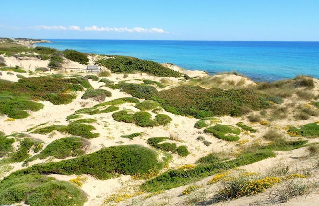 Casa Vacanze Roberto - Foto 63