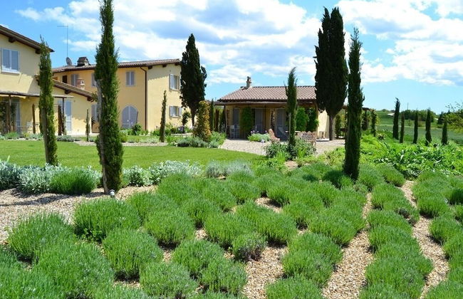 Rinidia Bio - Foto 71