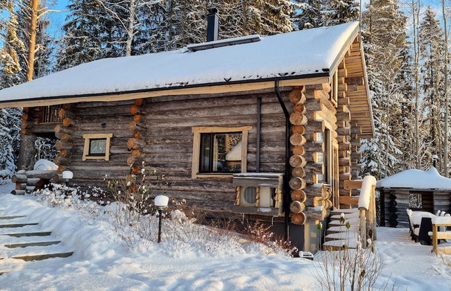 Villa Kaunisvirta - Photo 38