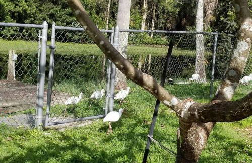 Bonita Oasis - Foto 23