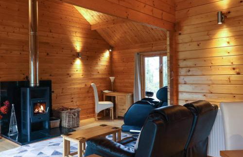 Woodpeckers - Photo 8