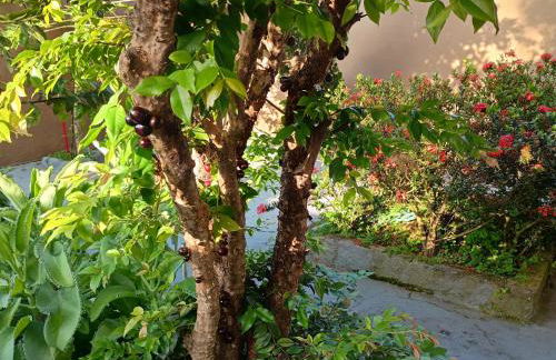 Casa Tapajos - Foto 20