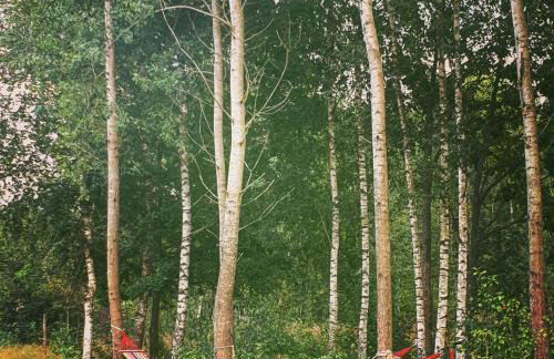 Malowniczy Zakątek w Dercu - Foto 21