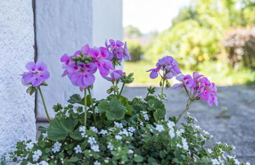 Ferienwohnung Heinrich - Foto 13