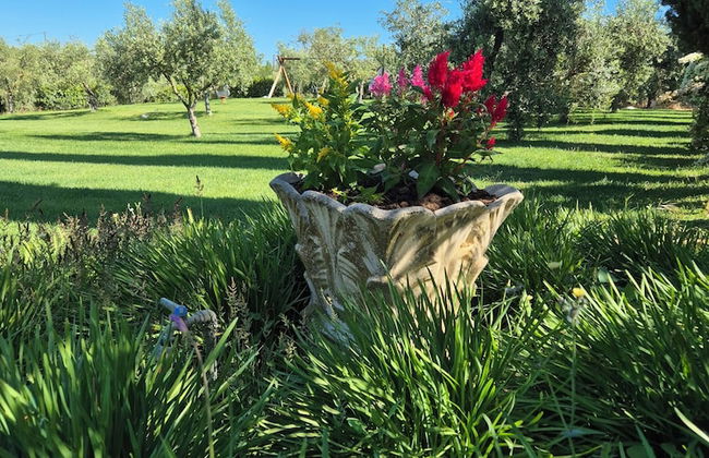 Agriturismo Il Migliarino - Foto 15