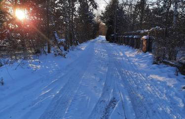 Dworska Zagroda - Foto 51