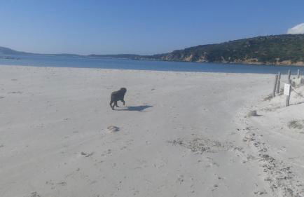 Casa al Mare con Giardino Privato - Foto 69