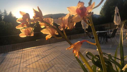 Quinta de Barbêdo - Turismo Rural - Foto 5