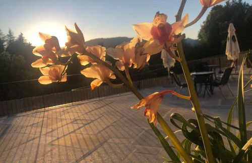 Quinta de Barbêdo - Turismo Rural - Foto 5