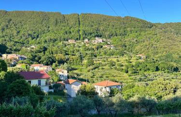 Casa Vacanze Il Pergolo - Foto 11