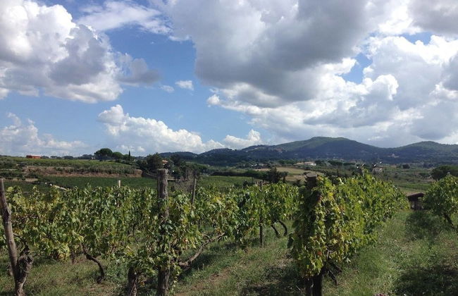 Country House Erba Regina - Foto 42