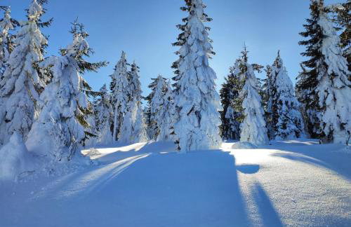 Stara Plebania - Foto 41