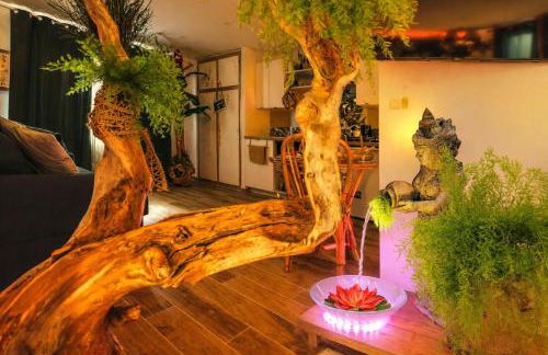 Jungle Spa - Cocon tropical et dépaysant avec balnéo en plein coeur de Pézenas ! - Foto 7