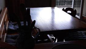 Casa Vacanze Bianca Sella Nevea - Foto 2