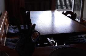 Casa Vacanze Bianca Sella Nevea - Photo 2