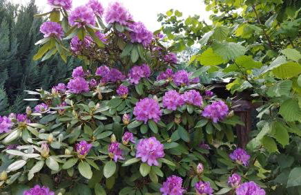 Ferienwohnung MW 1b 82m2 Höxter Weserbergland Weser inkl 2 Terrassen Wäsche und Endreinigung Self CheckIn - Foto 45