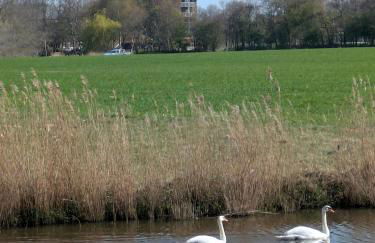 Haus Sarah - Foto 16