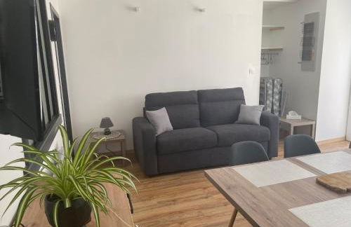 Joli T2 dans une maison de village - Foto 11