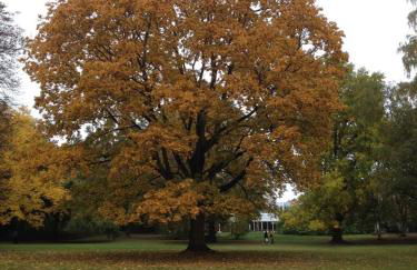 Haus Osterwiese - Foto 15
