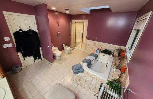 Eagles Nest Mansion - Foto 63