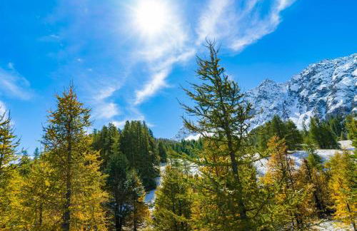 Beau chalet 15p - Abriès - Parc naturel du Queyras - Photo 49