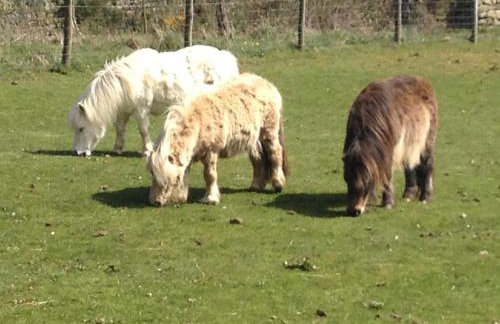 Smugglers Rock Country House - Foto 28