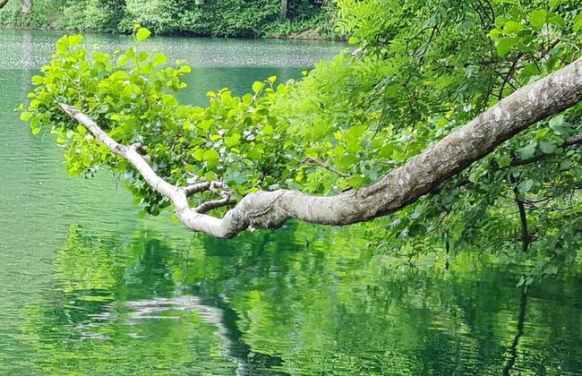 Maarchalet Modern Retreat - Photo 16