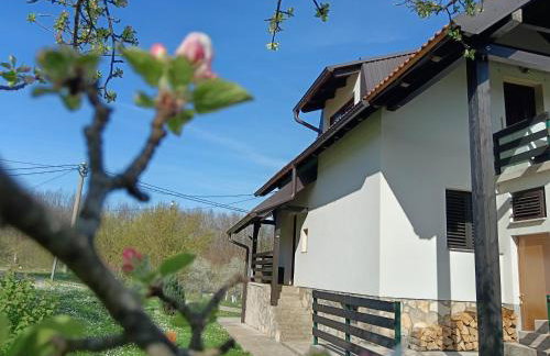 Apartman Sveti Rok - Foto 39