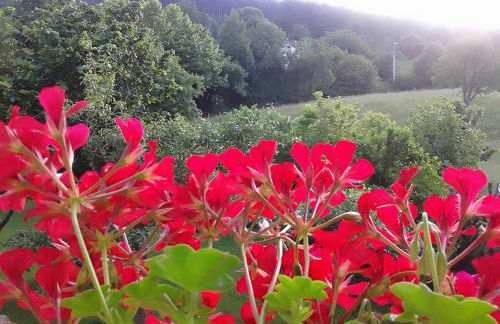 Finca Artienza - Foto 71