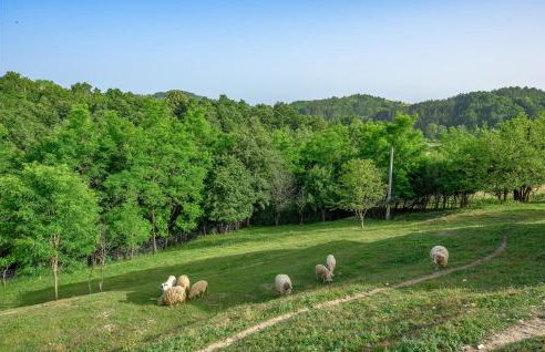 Lovely Apartment In Cerovlje With Wifi - Foto 18