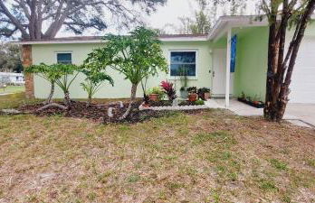 Sunny Days and Starry Nights - Foto 20