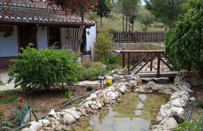 Cortijo Veracruz - Photo 58